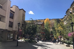 dog friendly by owner vacation rental in vail colorado