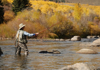 vail fly fishing